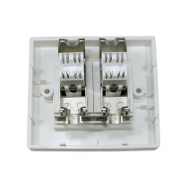Cat6a Shielded Loaded Faceplate- Tool-less 2 x Shielded Module